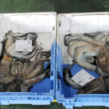 Apartman Terra Do Mar Atico Nuevo En Costa Da Morte, Camino De Faros *