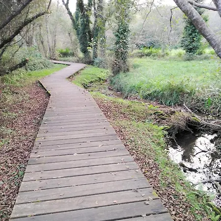 Apartman Terra Do Mar Atico Nuevo En Costa Da Morte, Camino De Faros Ponteceso