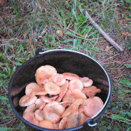 Terra Do Mar Atico Nuevo En Costa Da Morte, Camino De Faros Apartman *