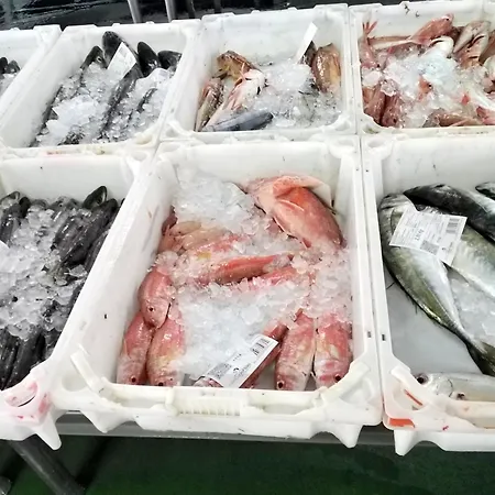 Terra Do Mar Atico Nuevo En Costa Da Morte, Camino De Faros *