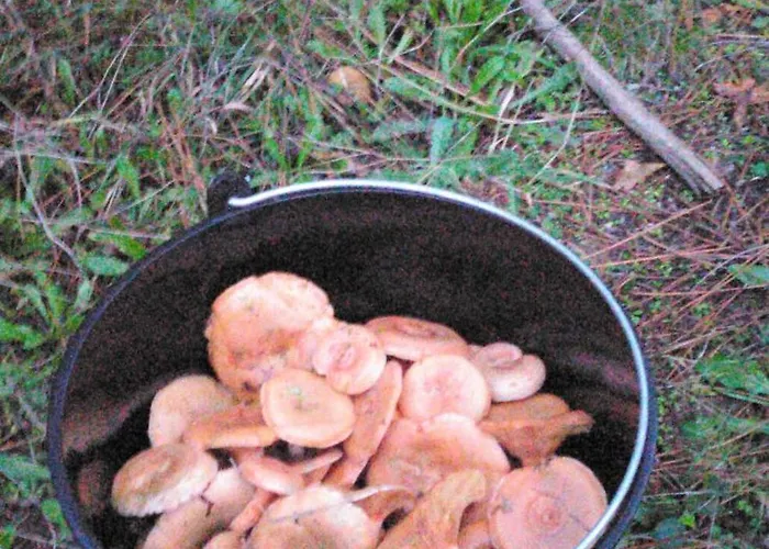 Terra Do Mar Atico Nuevo En Costa Da Morte, Camino De Faros Appartement *